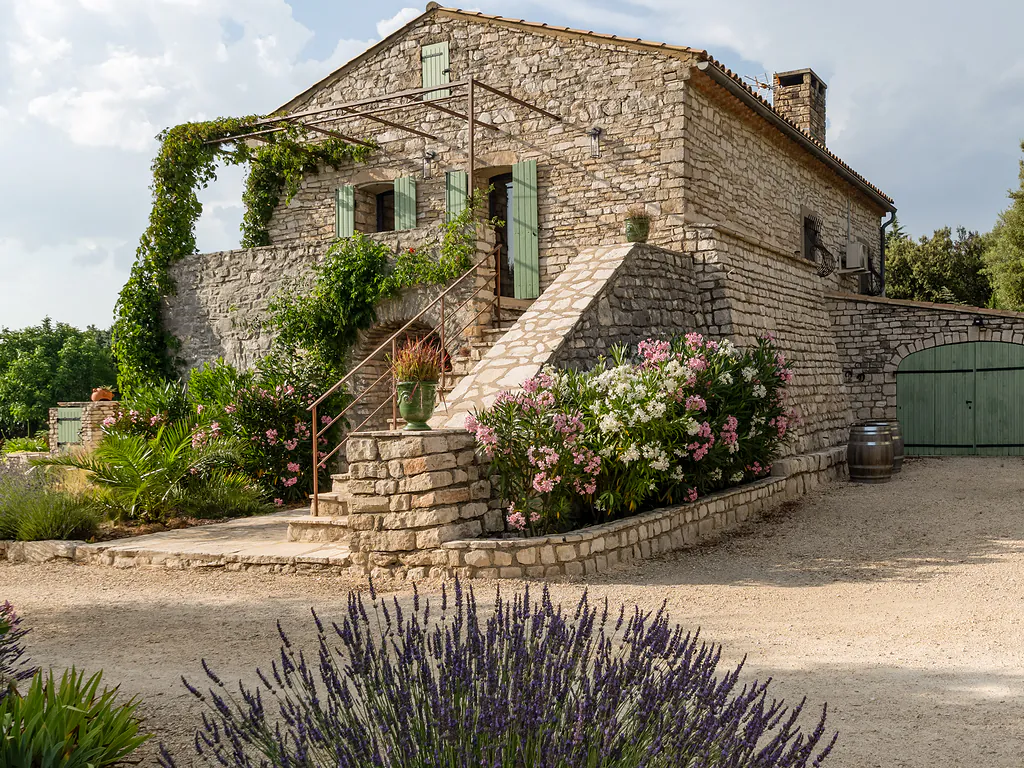 cour-arriere-et-lauriers