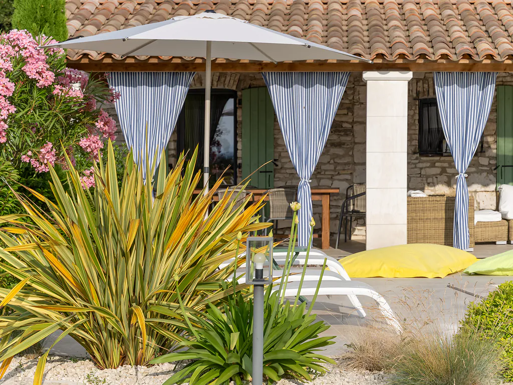 phormium-et-parasol